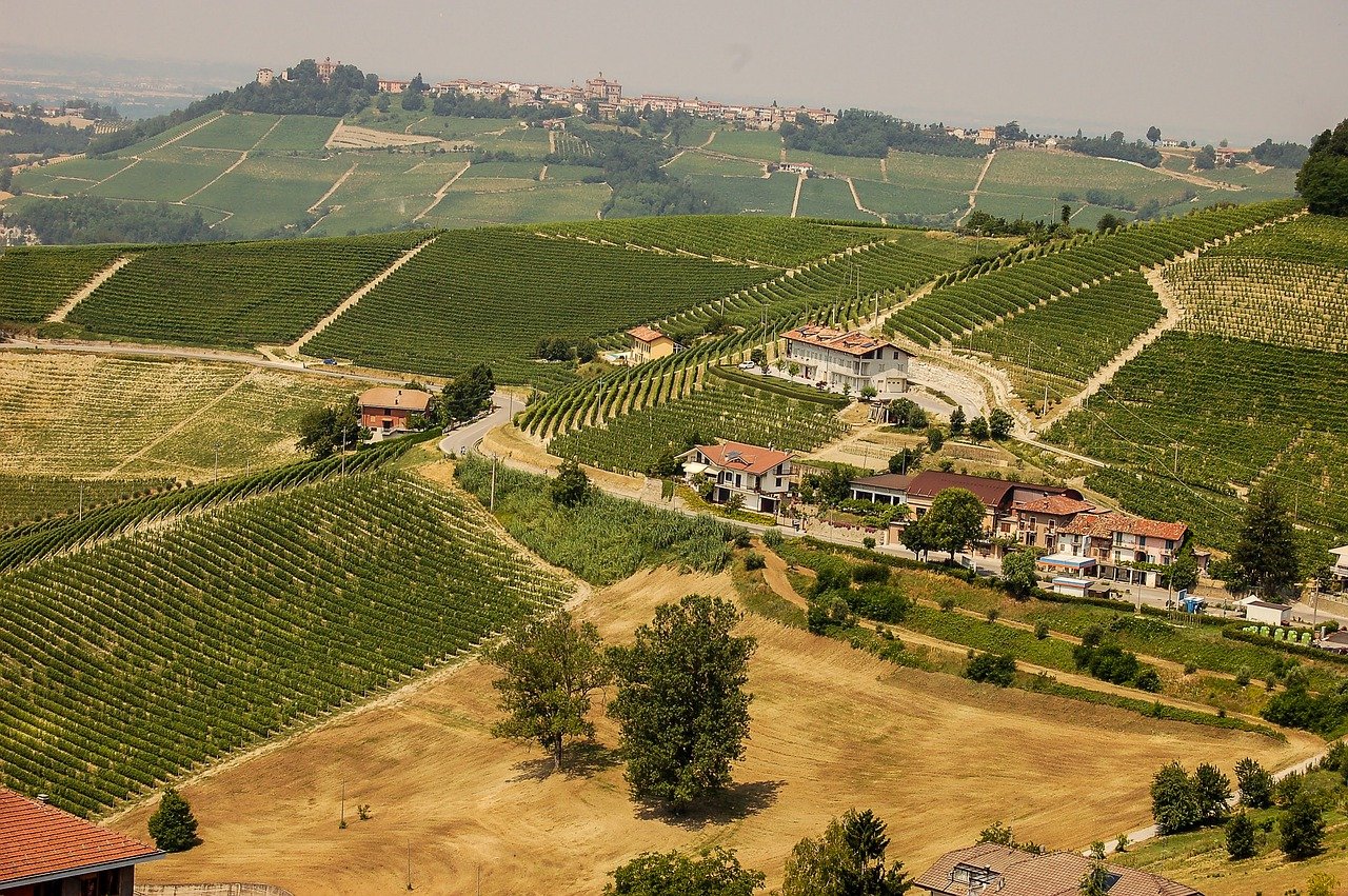 campagna-piemonte