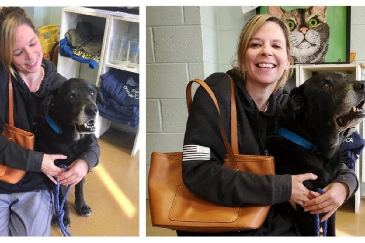 Donna adotta il cane Bear, dopo aver perso il suo cucciolo