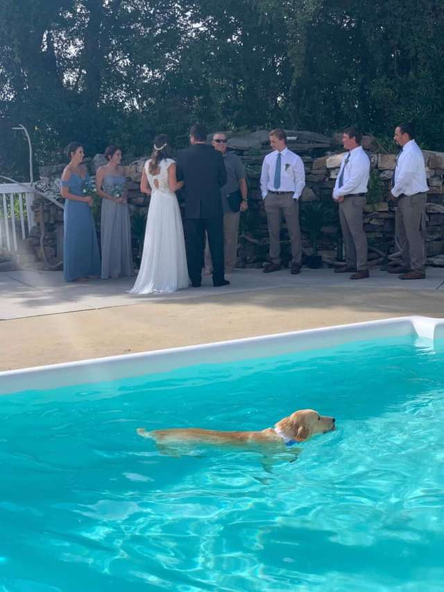 Finn nuota in piscina durante le nozze