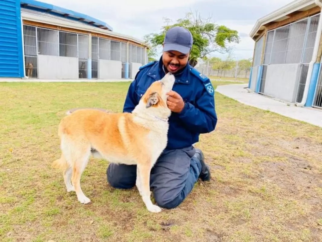 Cane con il suo proprietario