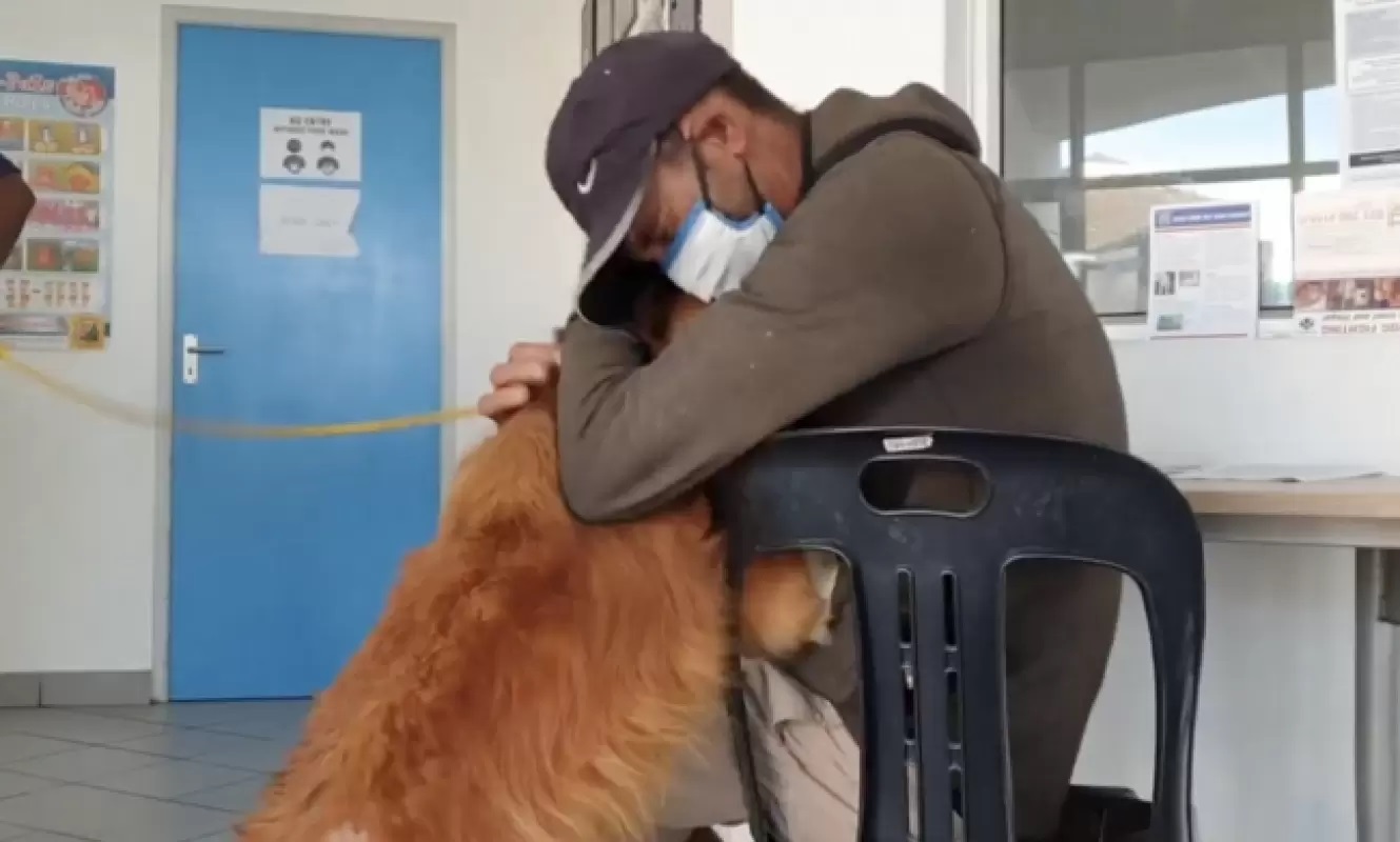 Cuccioli riuniti con i loro padroni