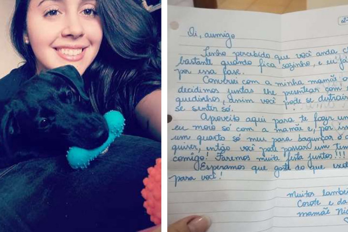 La lettera che ha ricevuto l’amica umana di Chips, da una vicina di casa
