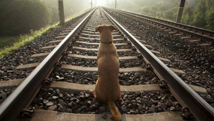 angel aspetta in stazione