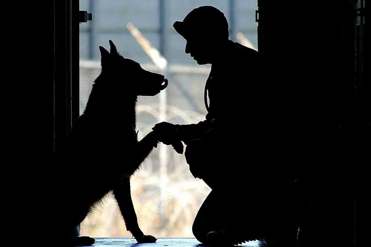 Marine incontra cane zoppicante e lo porta in patria