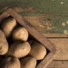 gatto - ricetta - patate