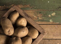 gatto - ricetta - patate