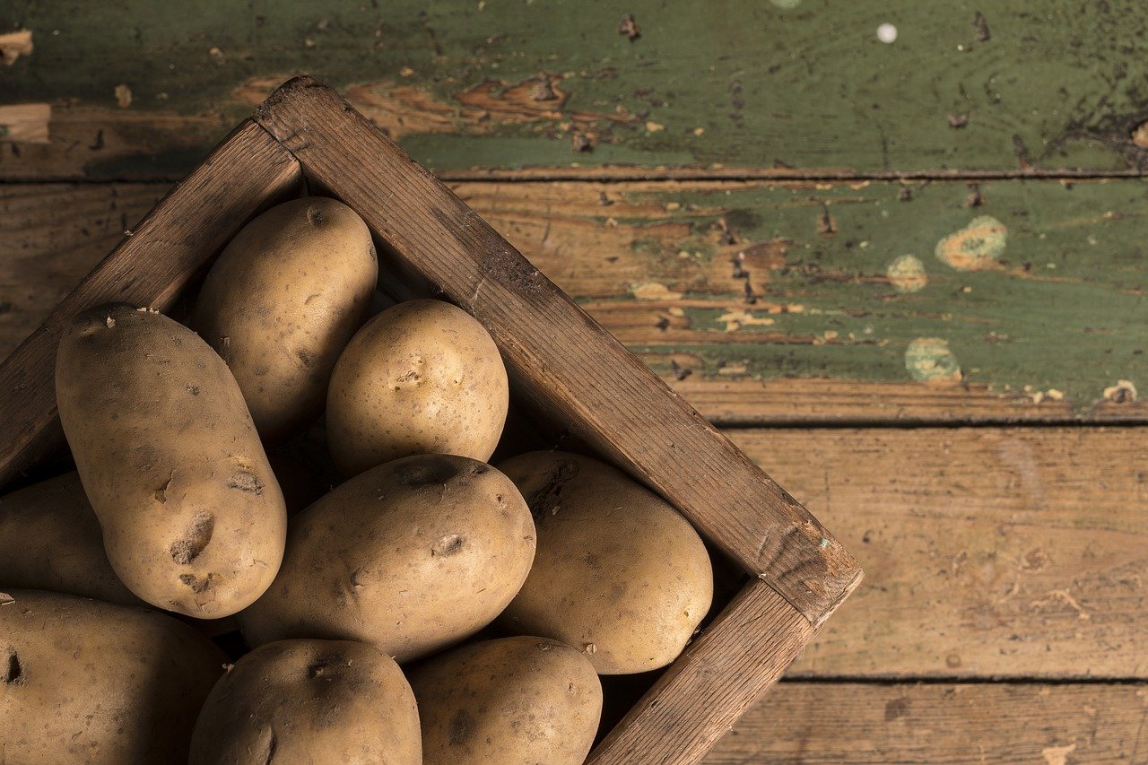 Gateau di patate, ricetta originale e varianti per un piatto gustoso