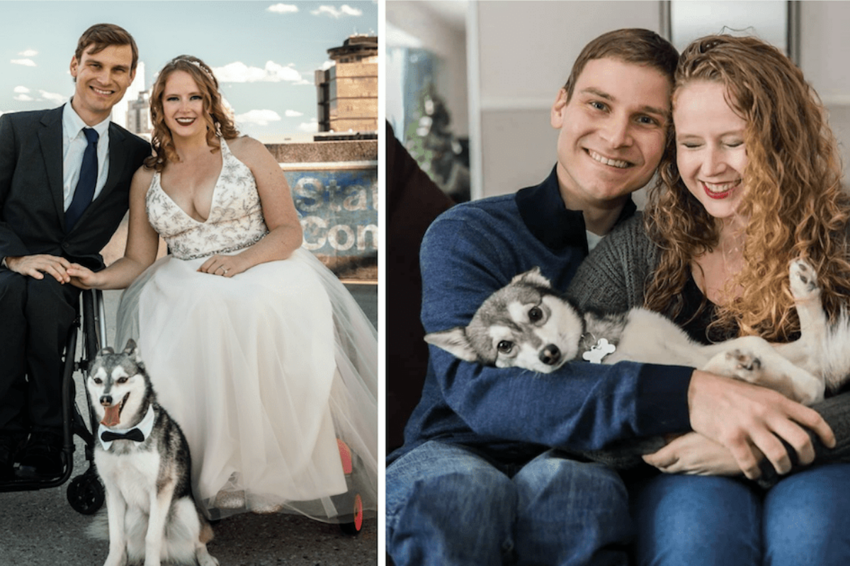 Rocky il cane scomparso prima del matrimonio dei suoi amici umani