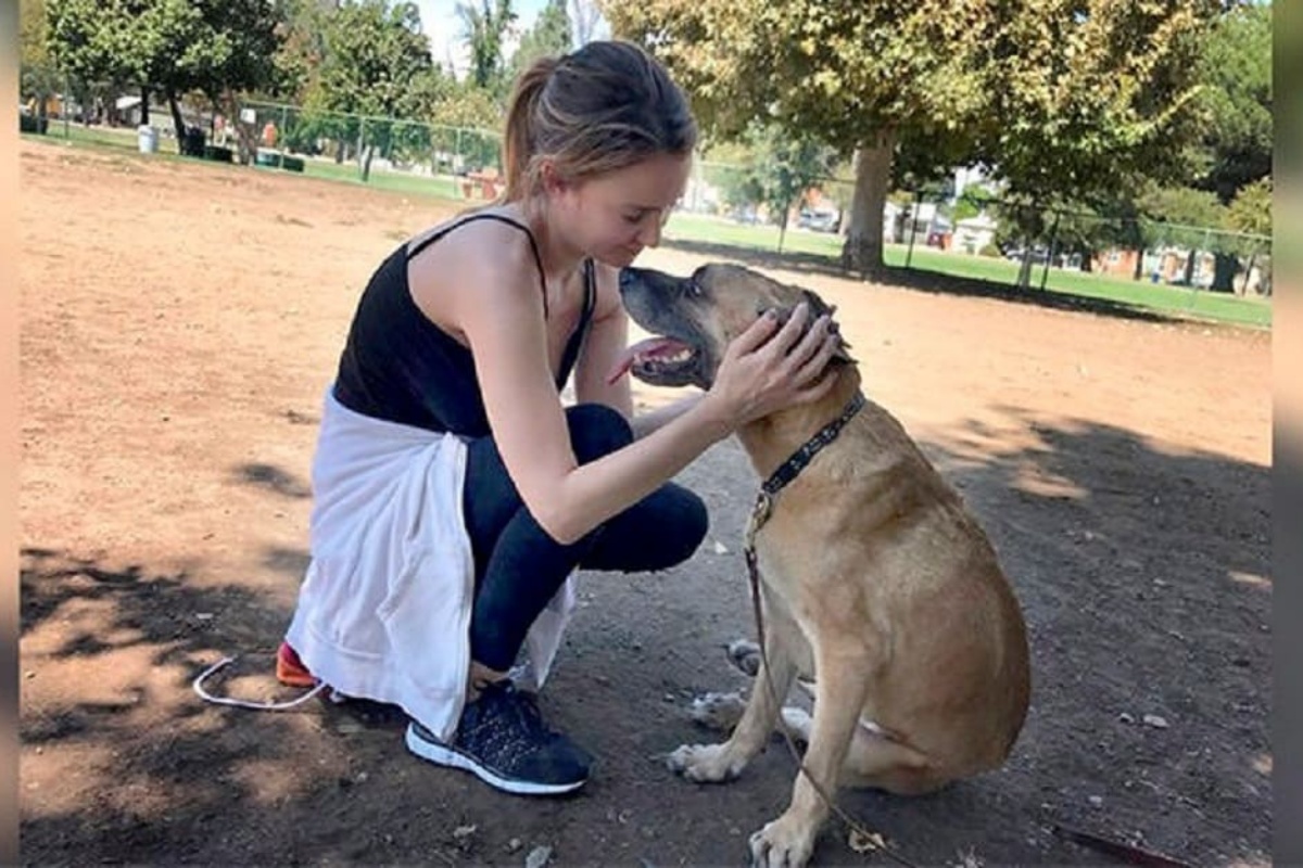 La storia di Ruby, la cucciola trovata con traumi molto gravi