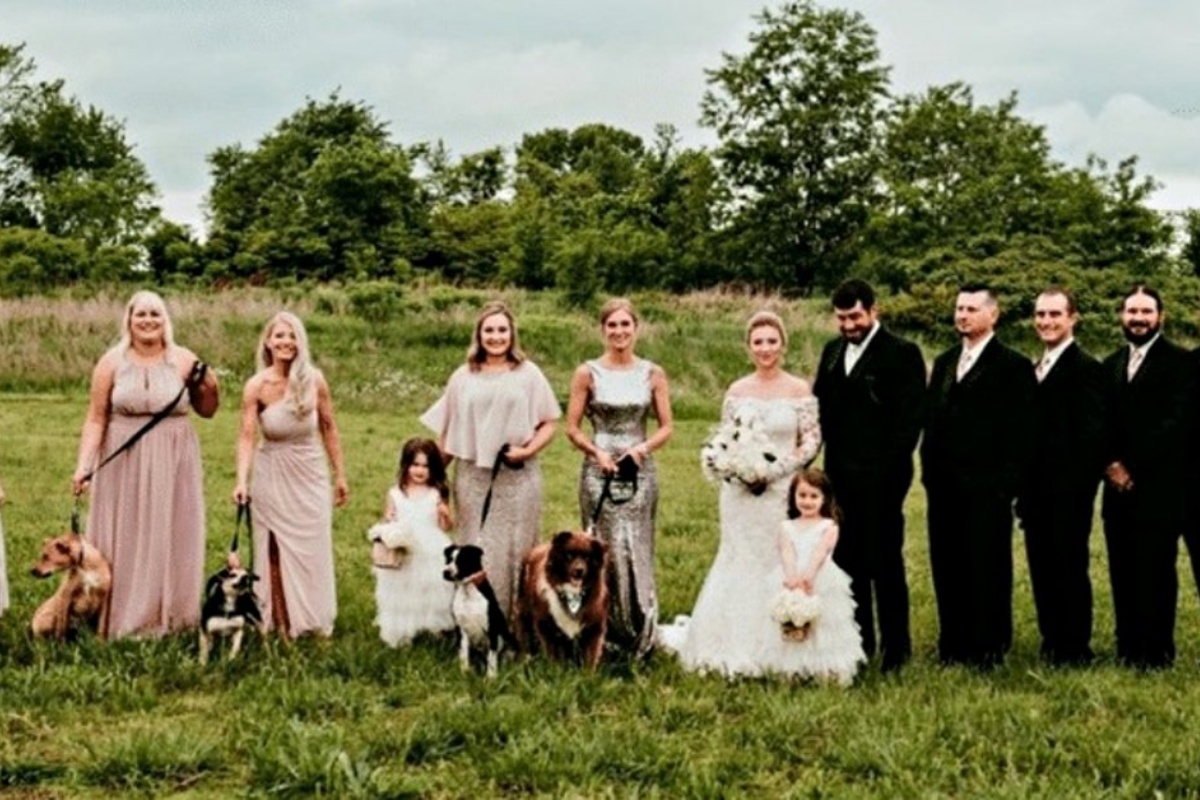 Sally e Cary Burky nel giorno del loro matrimonio hanno portato i cani del rifugio