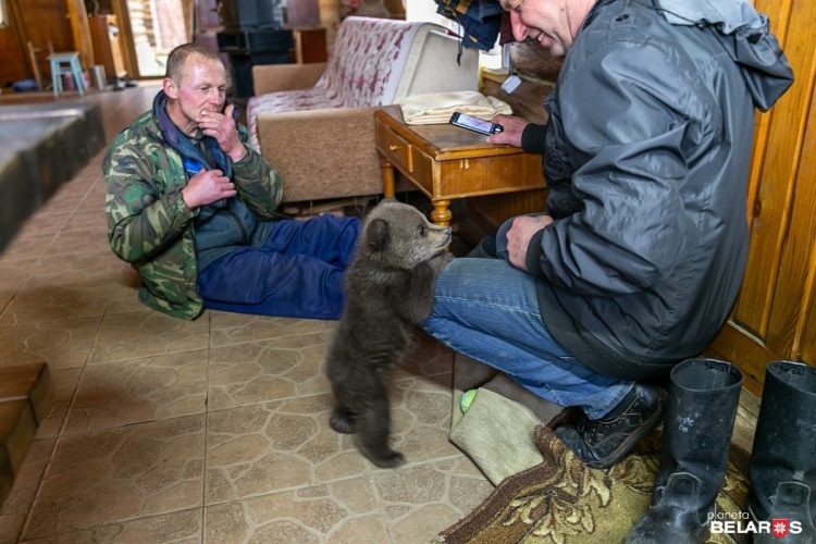 Nikolay Vasilievich accoglie un orso