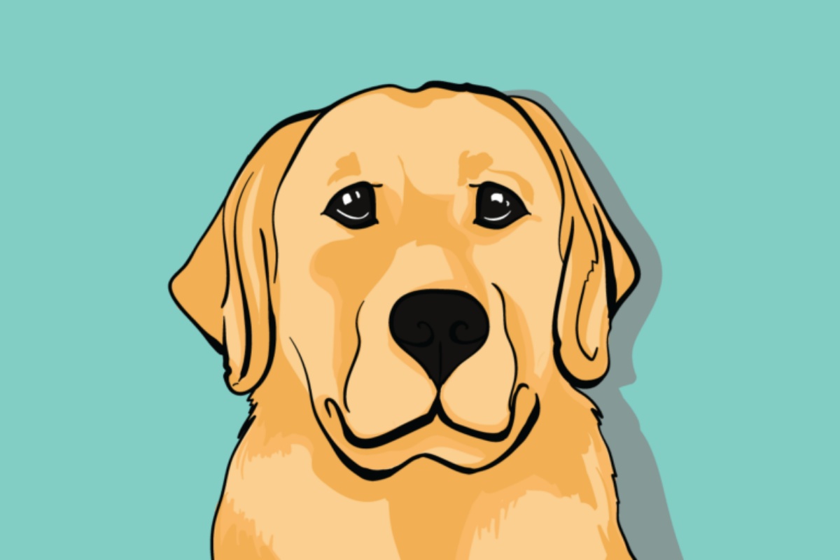 10 modi con cui il cane ti parla