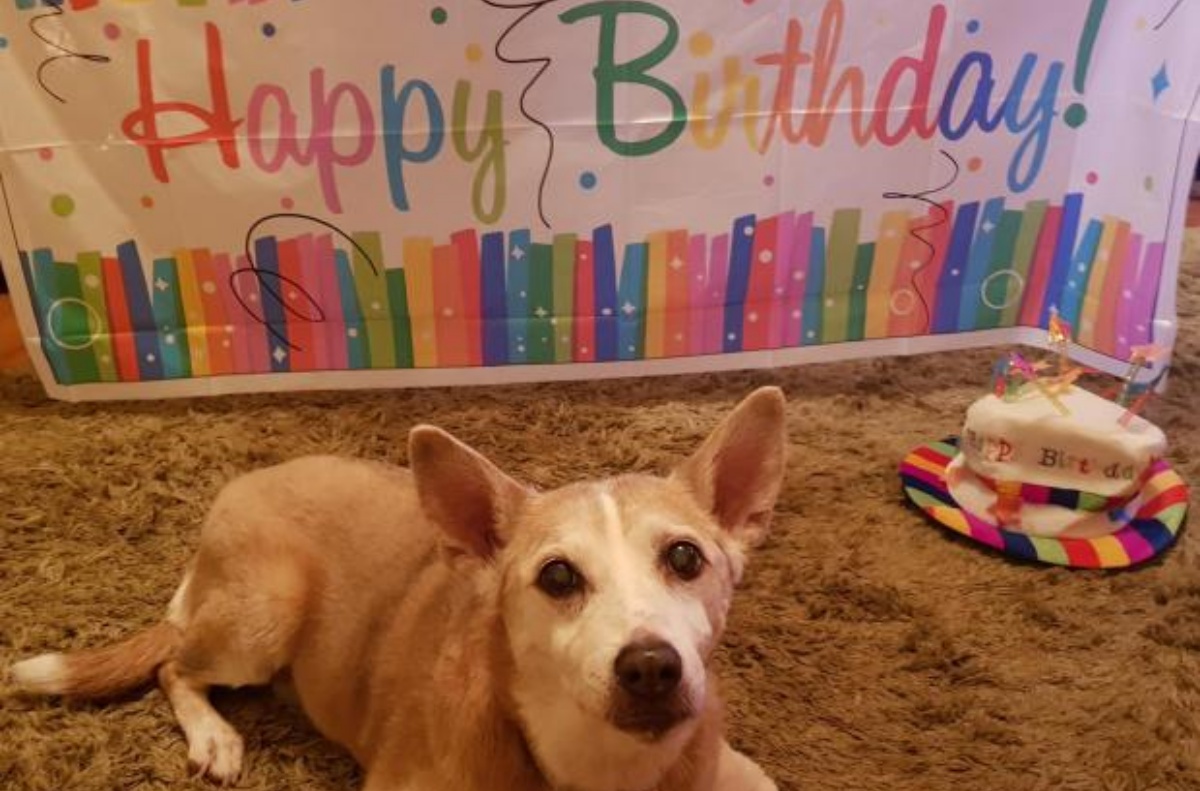 Dopo tanta sofferenza, Bonnie ha spento la sua 16esima candelina