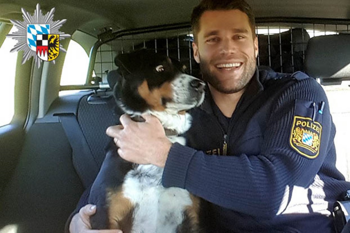 La divertente avventura di un cane scappato da casa e arrestato dalla polizia