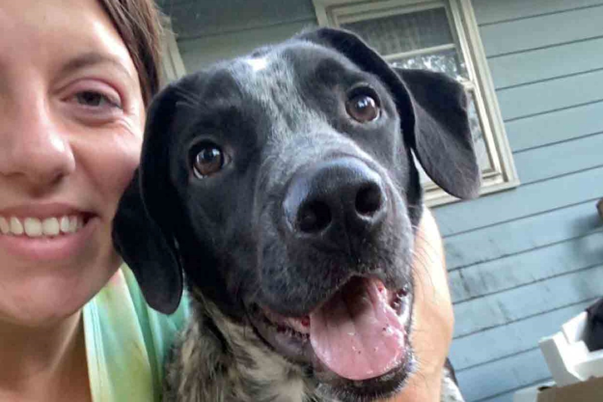 Eddie, il cagnolino che cerca di pulire dopo che ha sporcato il pavimento