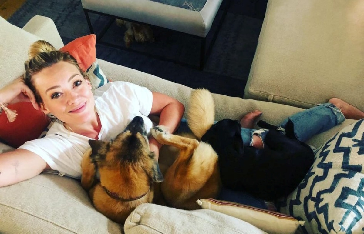 Hilary Duff accoglie un nuovo cucciolo