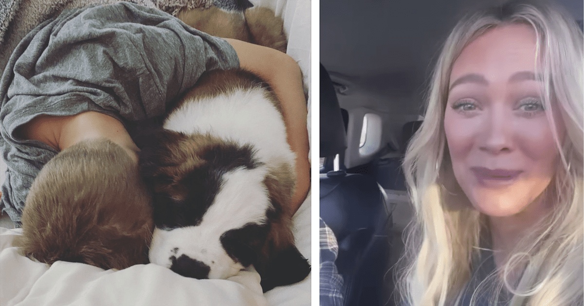 Hilary Duff accoglie in casa un cucciolo di San Bernardo