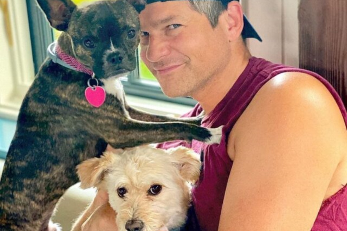 Neil Patrick Harris e i cani da salvataggio