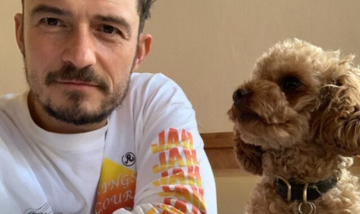 Orlando Bloom presenta il cane Buddy 