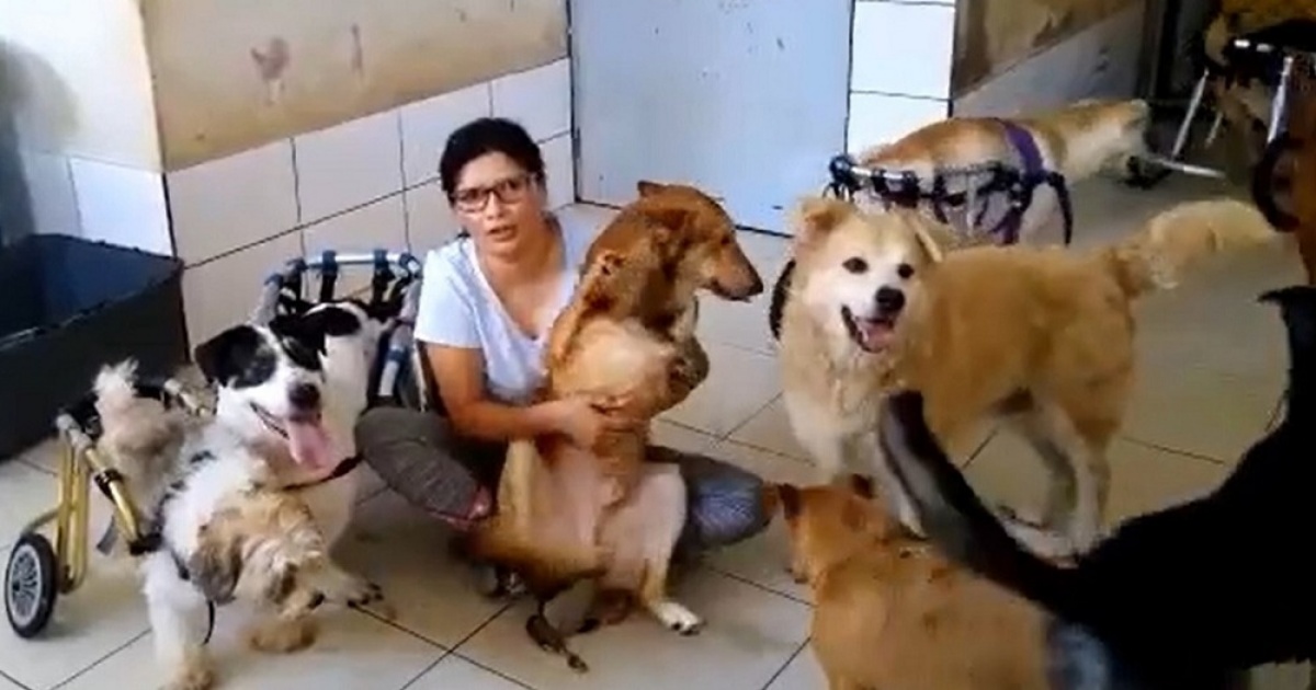 Sara Moran e i cani disabili