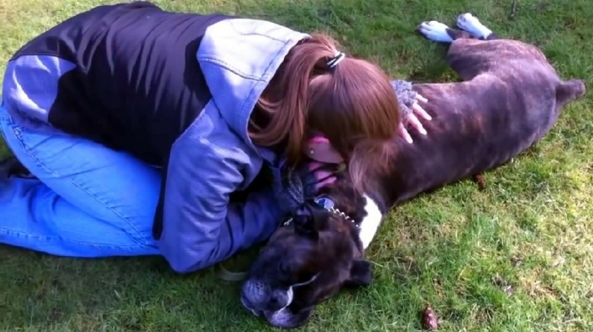 Sugar, il cagnolino salvato grazie al massaggio cardiaco