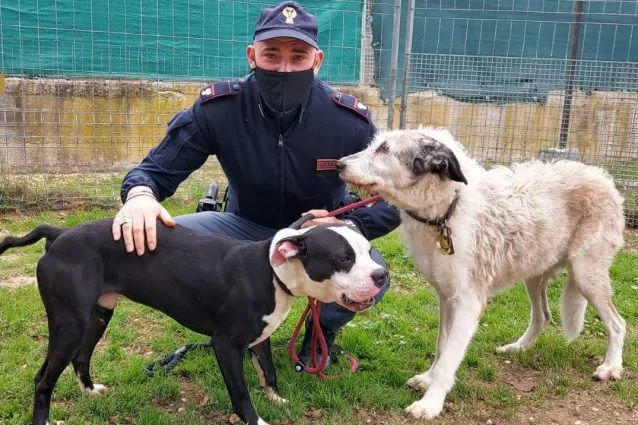 I poliziotti e i due cuccioli salvati