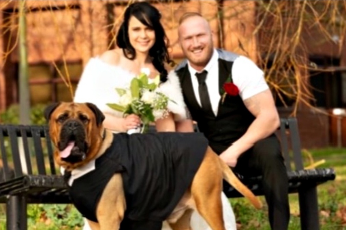 Bruce il cane che stava per morire: i suoi amici umani anticipano il matrimonio