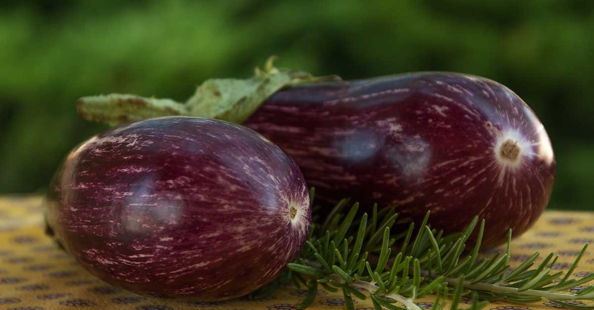Come congelare le melanzane? I trucchi per mantenerle sempre fresche