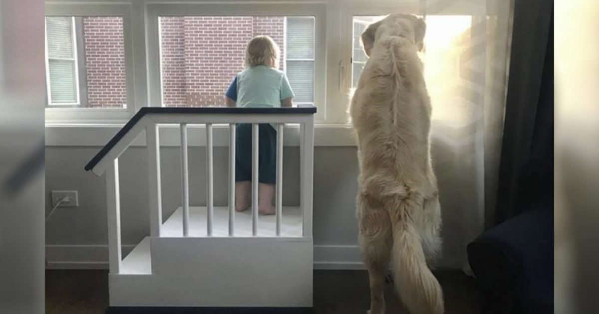 Connor e il regalo del suo papà