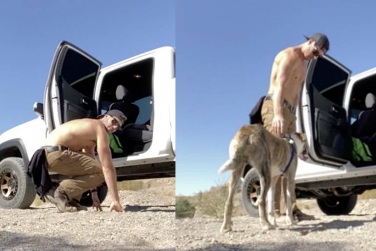 Dudeson il cane che aveva paura di salire sul pick-up del papà umano