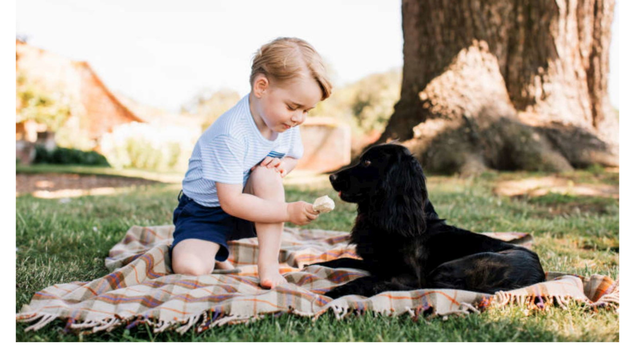 Il Principe George e il Cocker Spaniel