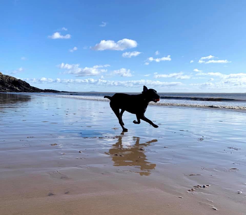 Smiff corre sulla spiaggia