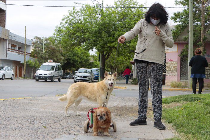 Isabel e il cane Toto