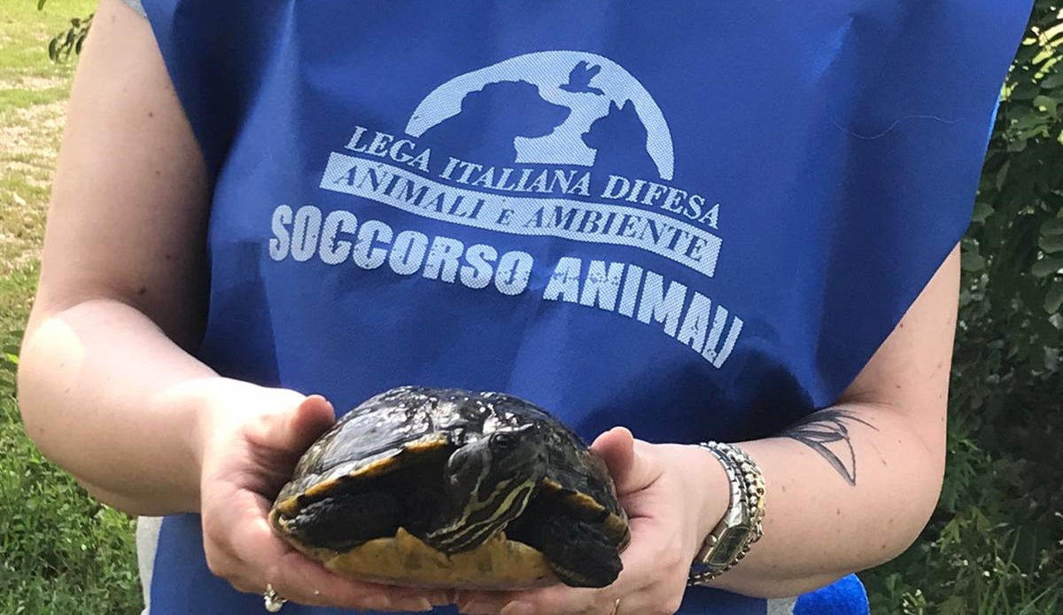 Leidaa gli aiuti durante l'emergenza Covid