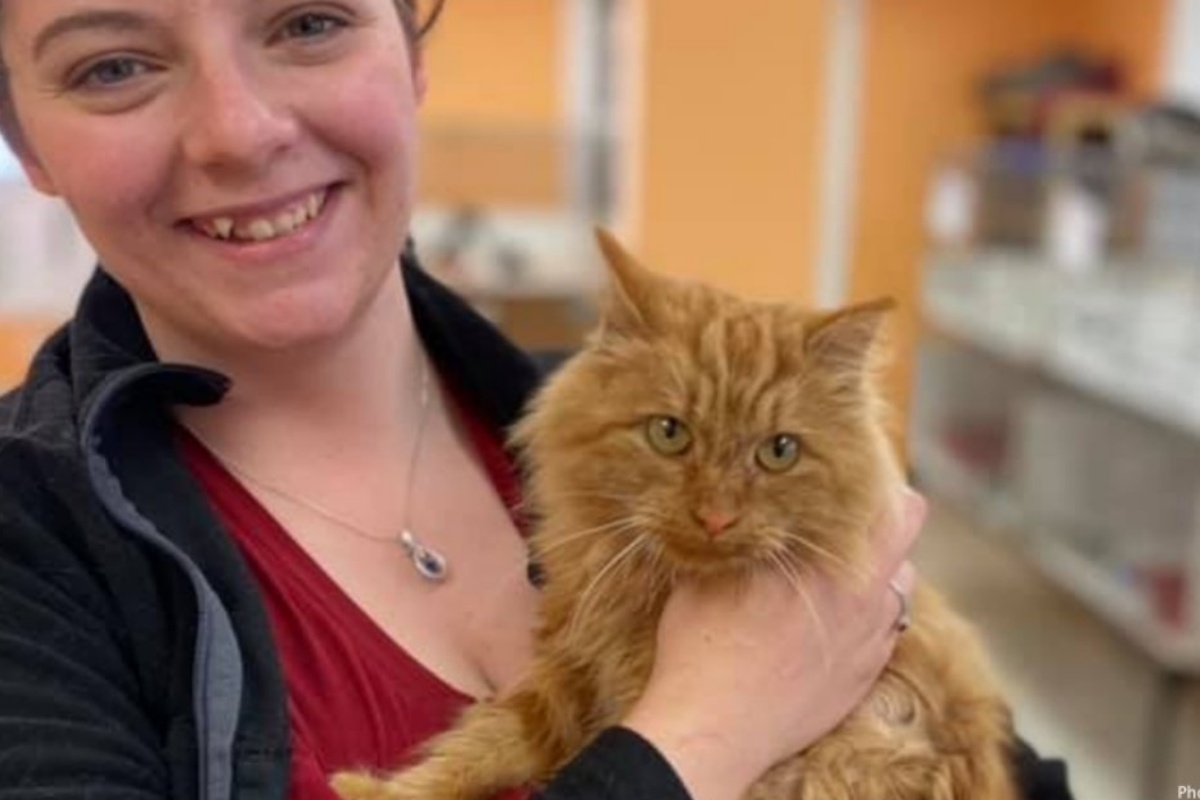 Ruth, il gatto trovato in gravi condizioni: la sua guarigione
