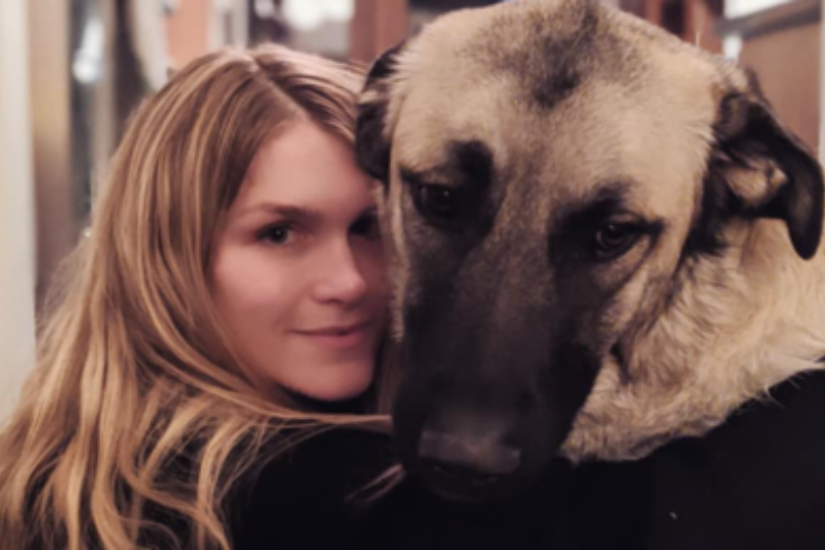 Teddy il cane salvato dalla coppia, che aveva paura di tutto