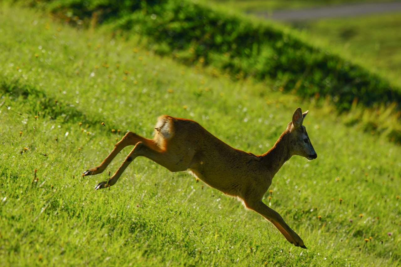 trentino-alto-adige-natura