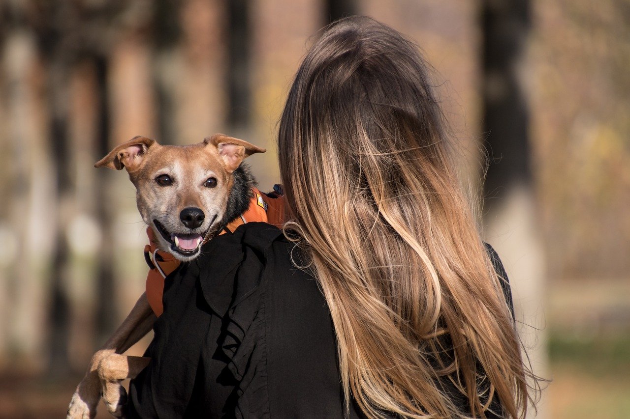 amare gli animali domestici