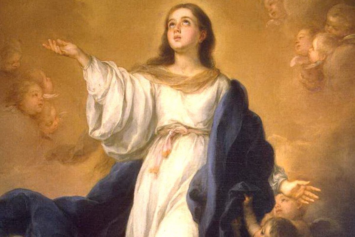 immacolata concezione