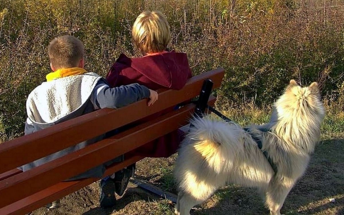 5 bambini e 6 cani abbandonati in una stazione di servizio