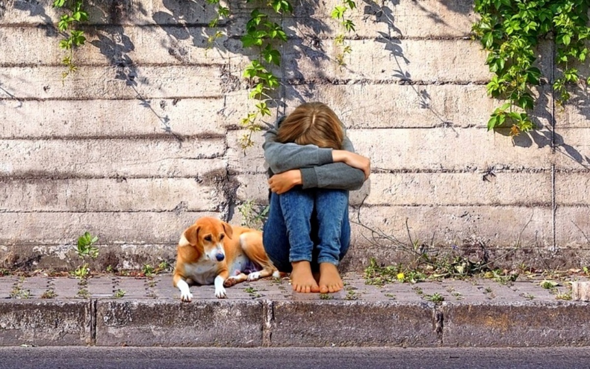 5 bambini e 6 cani abbandonati in una stazione di servizio