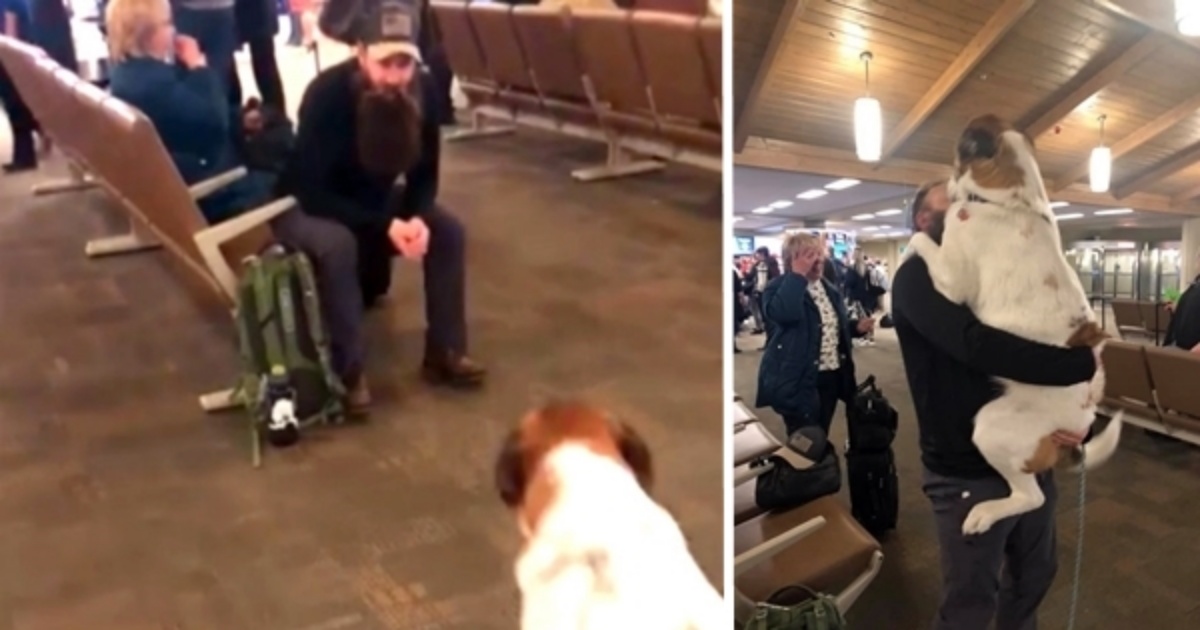 (VIDEO) Papà torna a casa dopo mesi con la barba incolta e si domanda se il suo cane lo riconoscerà: guardate cosa fa quando lo vede