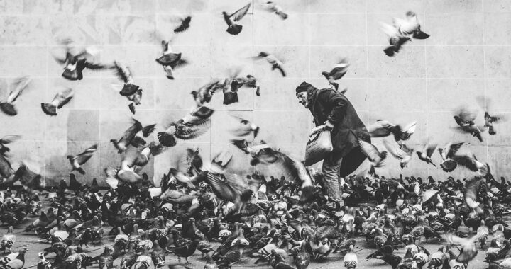 Come pulire il balcone dalla cacca di piccione
