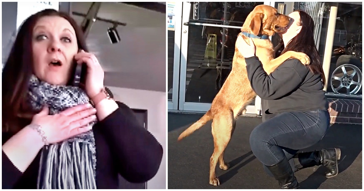 “Lo hanno rubato davanti ai miei occhi. Stavo scaricando i regali dal bagagliaio. Poi, il giorno dopo ho ricevuto quella chiamata…”