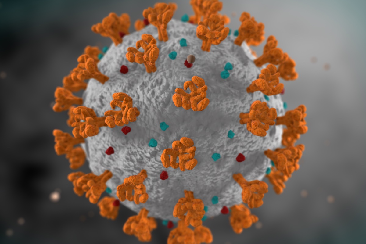 Al microscopio il Covid