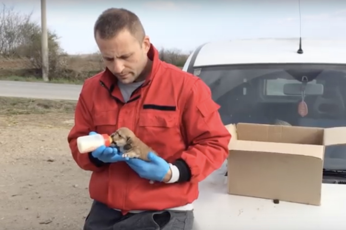 Il salvataggio di due cuccioli appena nati