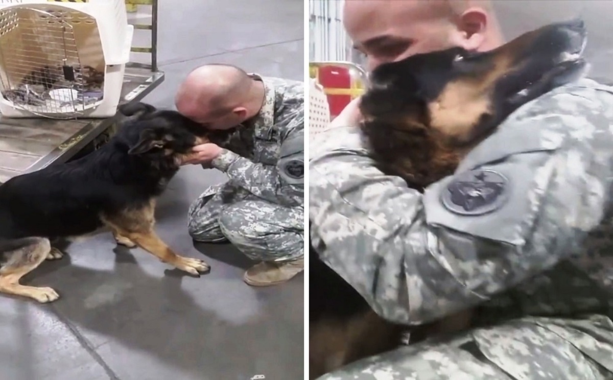 Il video che sta emozionando il web. Lo hanno costretto ad abbandonarlo, ma in tanti si sono battuti per lui