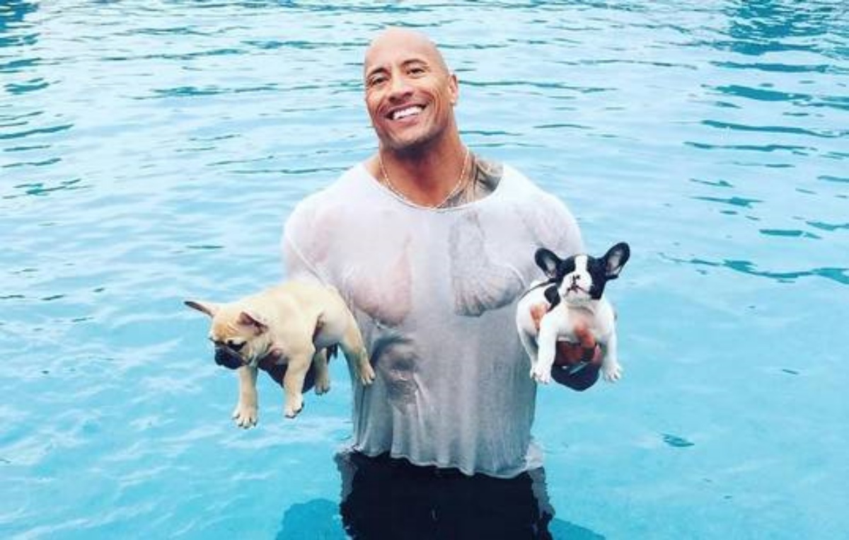 Il gesto di Dwayne Johnson per un cane in difficoltà