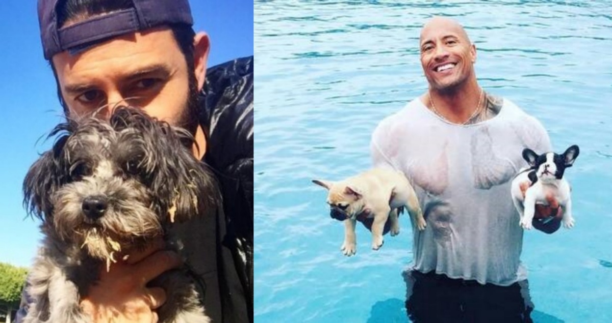 Dwayne Johnson interviene in aiuto di un cucciolo con il suo stesso nome