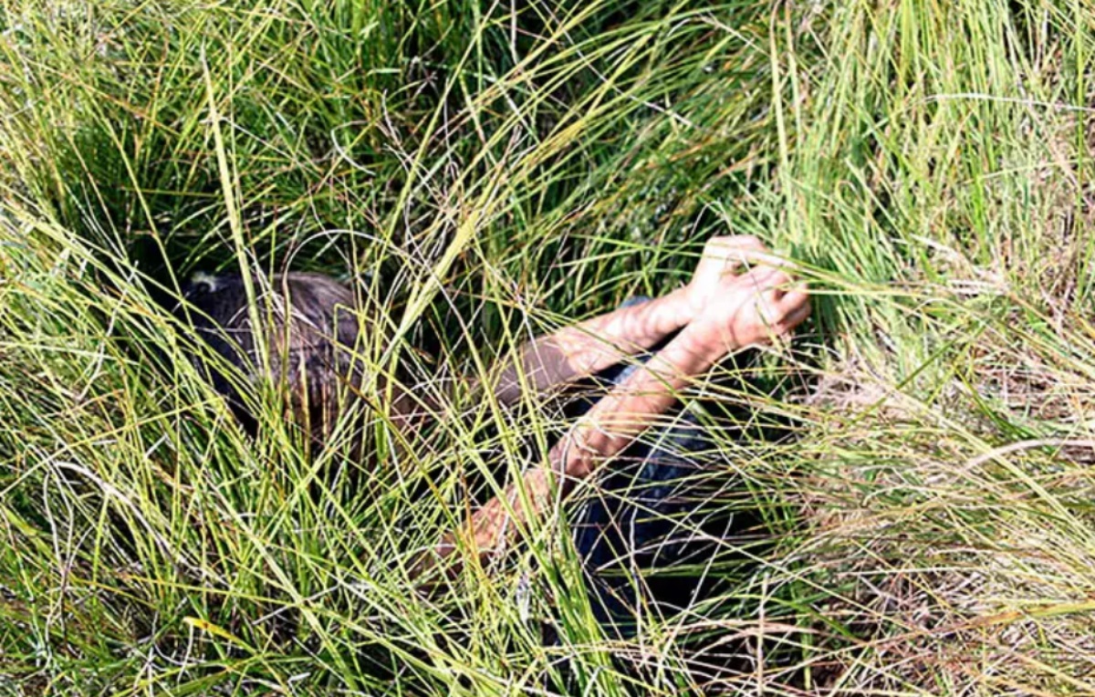 Bambina di 4 anni si perde nella foresta dove resta per oltre 10 giorni senza cibo e al freddo. Il suo angelo custode a quattro zampe ha cercato di proteggerla